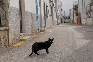 Akdeniz kasabası sokakta kara kedi