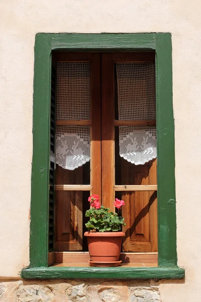 Dřevěné okno s krajkou závěsy a květina — Stock fotografie