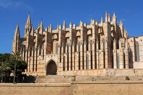 Catedral de La Seu de Palma en Palma de Mallorca, España —  Fotos de Stock