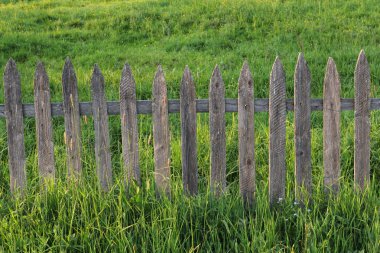 eski ahşap çit yemyeşil çim yeşil alanı