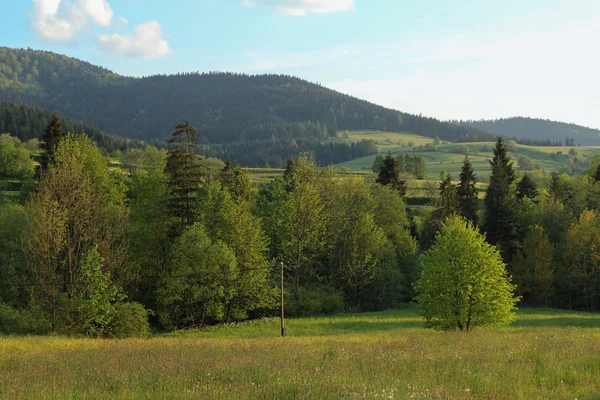 Rual landskap i Gorce-bergen, Polen — Stockfoto