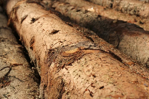 Closeup of wooden logs — Stock Photo, Image