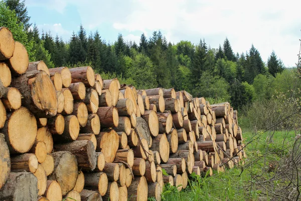 Högen av trä stockar på en äng nära skogen — Stockfoto