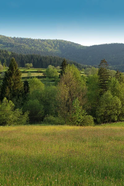 Paysage rural dans les monts Gorce, Pologne — Photo