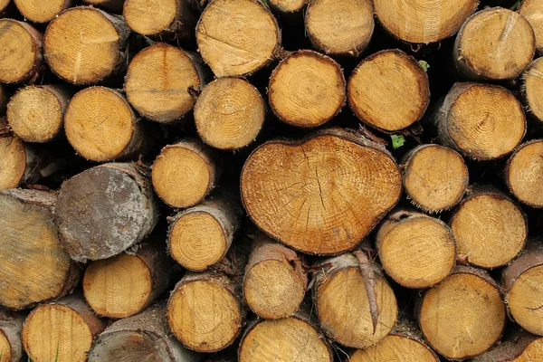 Wood logs background Stock Picture