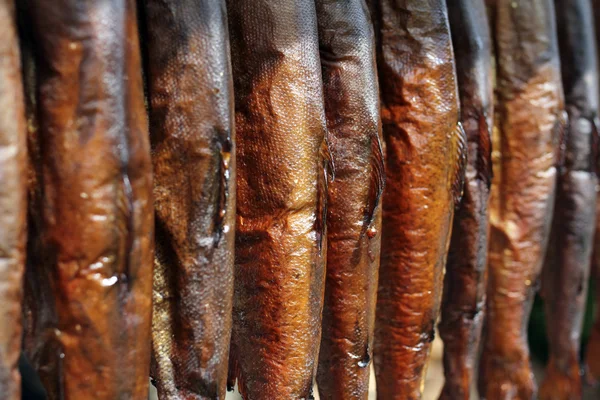 Smoked fish (trout) — Stock Photo, Image