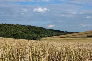 Yaz peyzaj hasat sonra