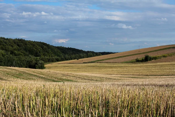 Lecie wsi lansdscape — Zdjęcie stockowe