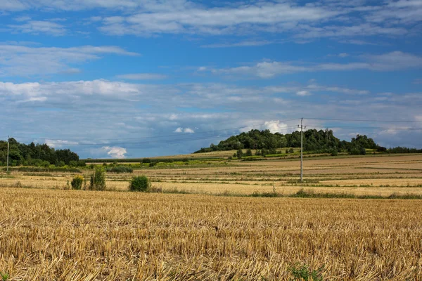 Sommar landsbygd — Stockfoto