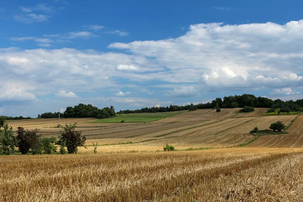 Natursköna sommaren landsbygdens landskap — Stockfoto