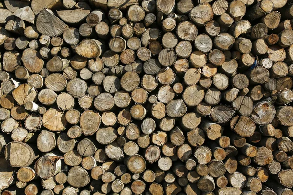 Tronchi di legno sfondo o consistenza — Foto Stock