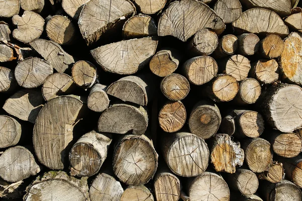 Pile of wood logs background — Stock Photo, Image