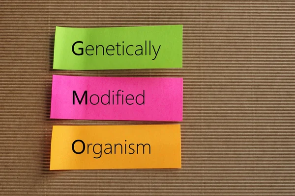 GMO (генетично модифіковані організми) акронім на барвистих липких нотах — стокове фото