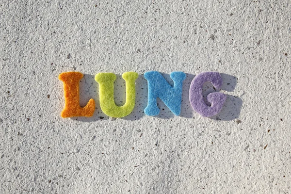 Lung word on handmade paper texture — Stock Photo, Image