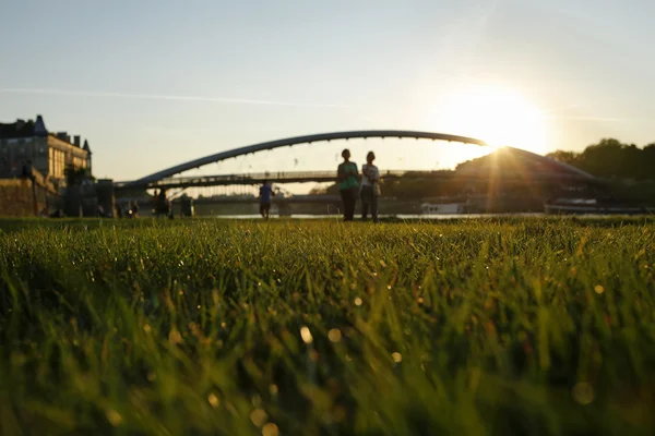 The setting sun on the boulevards seen through blades of grass — Stock Photo, Image