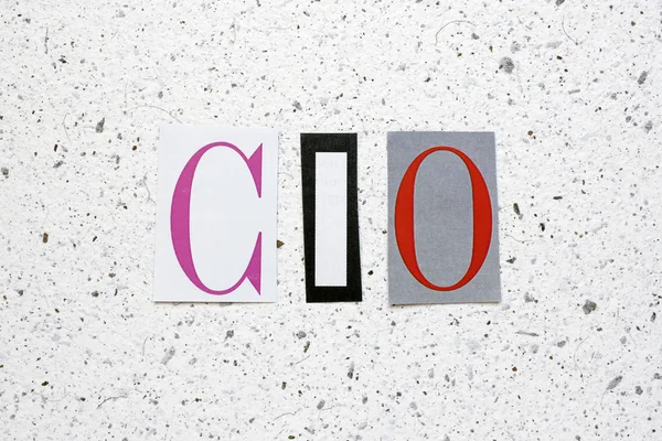 CIO (Chief Investment Officer) acronym cut from newspaper on white handmade paper texture — Stock Photo, Image