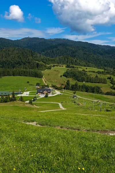 Uitzicht Houten Uitkijktoren Luban Berg Gezien Vanaf Wdzar Berg Pieniny — Stockfoto