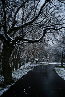 Kışın parkta kasvetli boş bir sokak.