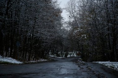 Bulutlu bir günde kış parkında boş bir yol.