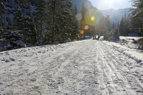 Polonya Nın Tatra Dağları Ndaki Renkli Mercekli Güzel Kış Manzarası — Stok fotoğraf