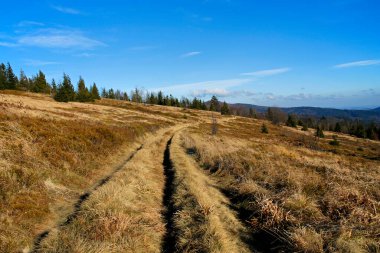 Güzel bir dağ açıklığında yol