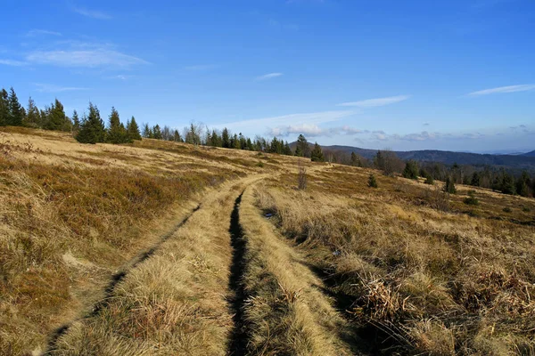 Güzel bir dağ açıklığında yol
