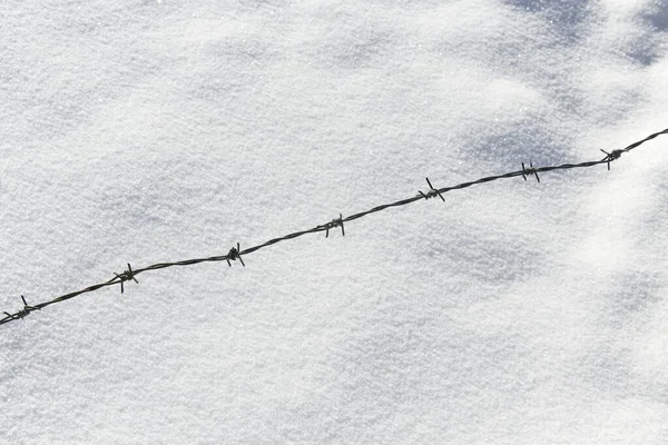 Prikkeldraad Verse Sneeuw — Stockfoto
