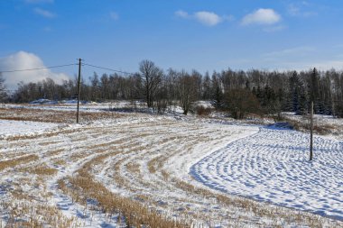 Eski ahşap elektrik direkleriyle kışın kırsal arazisi