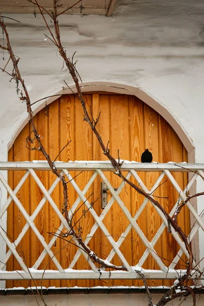 Blackbird Sitting Balustrade Vintage Wooden House — Stock Photo, Image