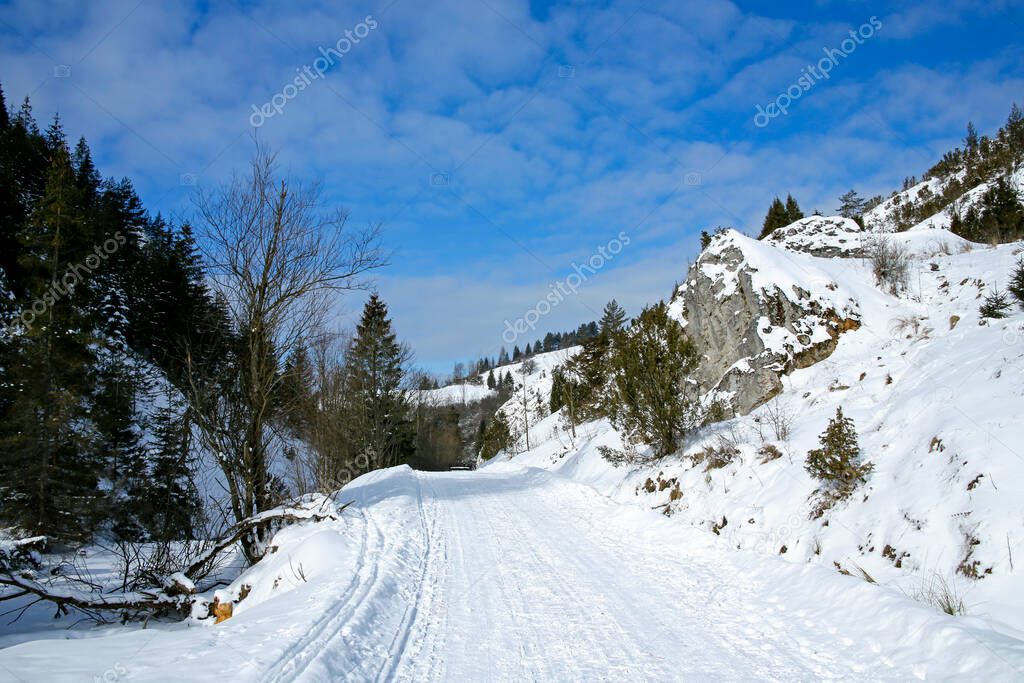 beautiful valley in winter scenery of White Water Nature Reserve in Jaworki, Szczawnica, Pieniny Mountains, Polan