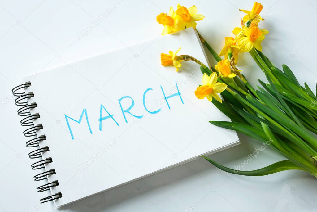 march written in notebook and daffodils on white shiny background