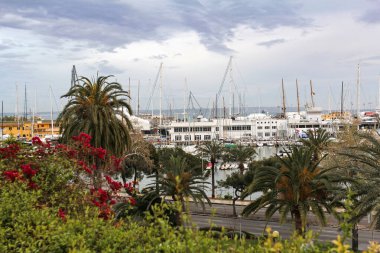 Pallma de Mallorca limanının panoramik görüntüsü, Mallorca, İspanya