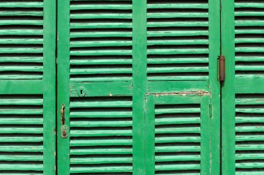 rustic green wooden door background