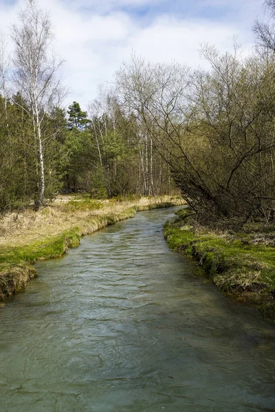 Pittoreska Kurvan Vid Floden Sztola Bukowno Polen — Stockfoto