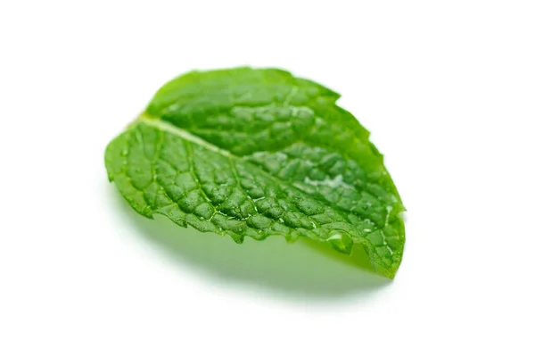 Fresh Mint Leaf Water Drops White Background — Stock Photo, Image