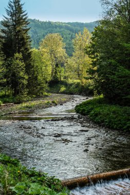 mountain river with wooden cascades in Gorce Mountains, Poland