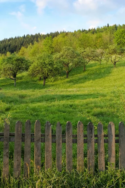 Rustic Wooden Fence Spring Orchard — Stok fotoğraf