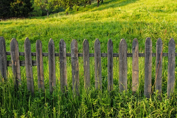 Rustic Wooden Fence Spring Orchard — Stok fotoğraf