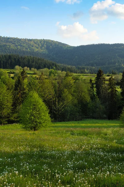 Landsbygd Våren Landskap Gorce Bergen Polen — Stockfoto