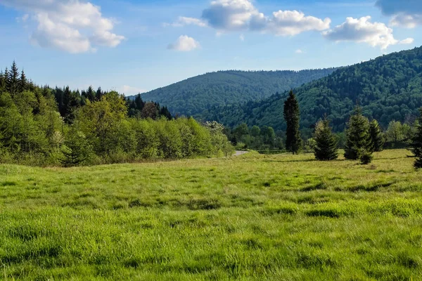 Сельский Пейзаж Горах Горце Польша — стоковое фото