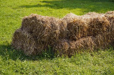 Yeşil çayır üzerindeki saman yığını
