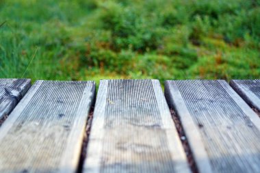 Ormandaki ahşap patika