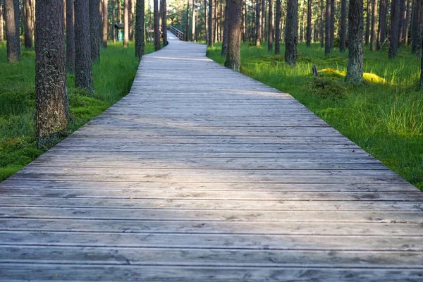 Wooden Pathway Peat Bog Nature Reserve Nowy Targ Poland — Stock Photo, Image
