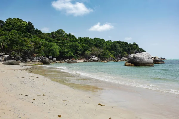 Тропічний Пляж Камінням Острові Кох Самуї Таїланді — стокове фото