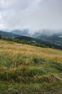 Dağlarda sisli bir sabah