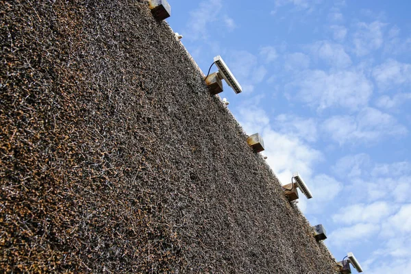 Zoutafstudeertoren Doornhuis Plaats Voor Inhalatie Recreatie Kuuroord — Stockfoto