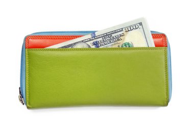 Amerikan Doları banknot renkli deri cüzdan
