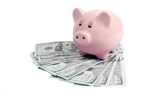 Piggy bank on hundred dollars-new 2013 edition — Stock Photo, Image