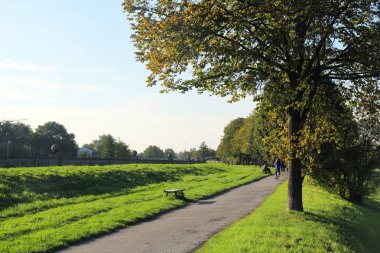 yol boyunca parkta, krakow, Polonya
