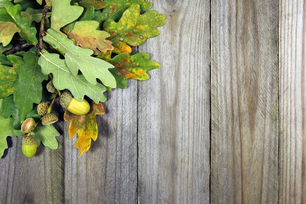 Herfst achtergrond, eiken twijgen en eikels op houten achtergrond — Stockfoto